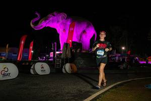 BIB: 
                            <button type="button" onclick="openModal(26534206)" class="btn btn-primary btn-sm float-right btn-popup" data-toggle="modal" data-target=".modal-high-quality">
                        <i class="fas fa-shopping-cart"></i> Add to Cart
                    </button>
                                            <button type="button" onclick="isThisMe(26534206, true)" class="btn btn-success btn-sm float-right btn-popup btn-isme hidden" data-toggle="tooltip" data-placement="bottom" title="นี่คือรูปของคุณใช่ไหม คลิกที่นี่เพื่อเอาเข้าอัลบั้ม">
                        <i class="fas fa-plus"></i> Add to album
                    </button>
                    <button type="button" onclick="isThisMe(26534206, false)" class="btn btn-warning btn-sm float-right btn-popup btn-isnotme hidden">
                        <i class="fas fa-ban"></i> Remove from album
                    </button>